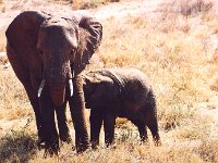 02 - Samburu NP